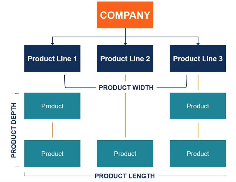 Product mix chart showing a company branching into three product lines, labelled with width, length and depth
